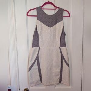 Chic Sleeveless Gray and Cream Dress